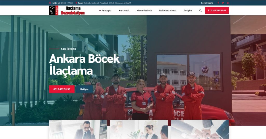 Kaya İlaçlama